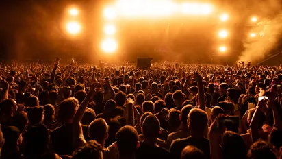People at an outdoor concert in Santiago de Chile at night