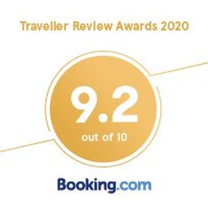 Traveler Review Award 2020