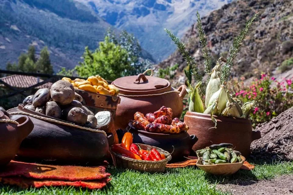 Authentic Andean food in Peru including cuy and quinoa served in the Andes region.